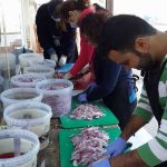 Chios, Refugee relief work – November22,2016-16